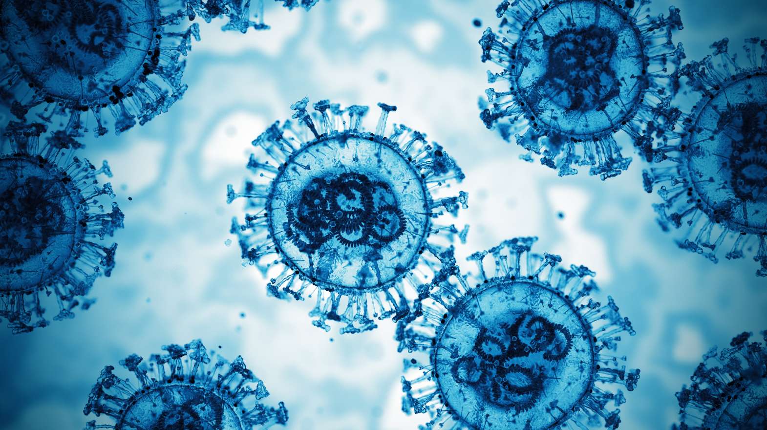 Microscopic view of coronavirus SARS-CoV-2