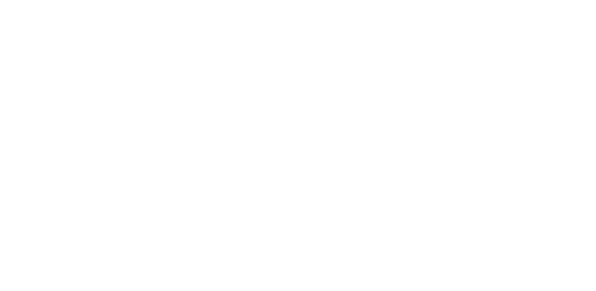 Strider